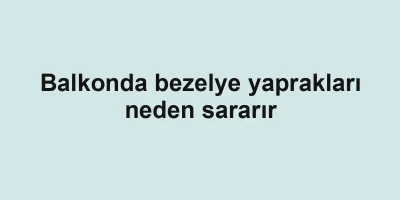 Balkonda bezelye yaprakları neden sararır