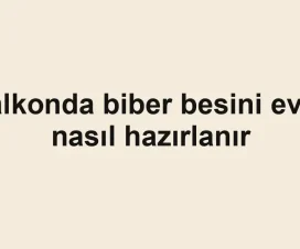 Balkonda biber besini evde nasıl hazırlanır