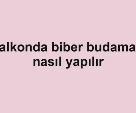 Balkonda biber budaması nasıl yapılır