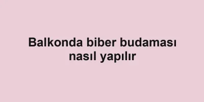 Balkonda biber budaması nasıl yapılır