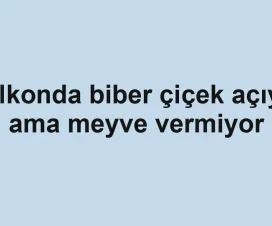 Balkonda biber çiçek açıyor ama meyve vermiyor