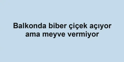 Balkonda biber çiçek açıyor ama meyve vermiyor