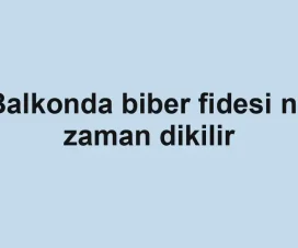 Balkonda biber fidesi ne zaman dikilir