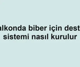 Balkonda biber için destek sistemi nasıl kurulur