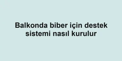 Balkonda biber için destek sistemi nasıl kurulur