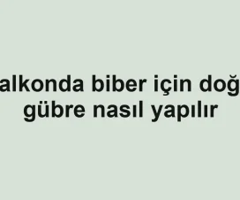Balkonda biber için doğal gübre nasıl yapılır