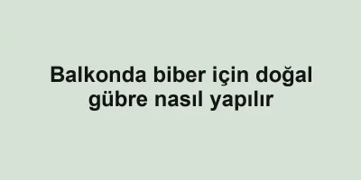 Balkonda biber için doğal gübre nasıl yapılır