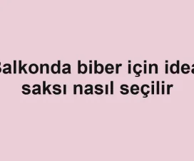Balkonda biber için ideal saksı nasıl seçilir