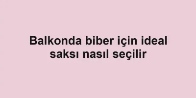 Balkonda biber için ideal saksı nasıl seçilir