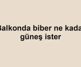 Balkonda biber ne kadar güneş ister