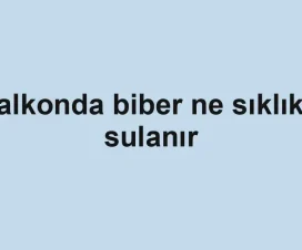 Balkonda biber ne sıklıkla sulanır