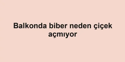 Balkonda biber neden çiçek açmıyor