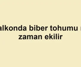 Balkonda biber tohumu ne zaman ekilir