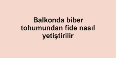 Balkonda biber tohumundan fide nasıl yetiştirilir