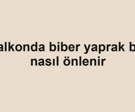 Balkonda biber yaprak biti nasıl önlenir