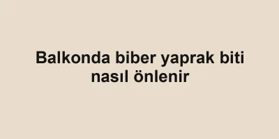 Balkonda biber yaprak biti nasıl önlenir