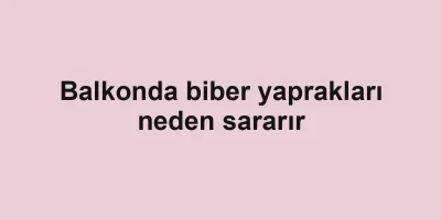 Balkonda biber yaprakları neden sararır