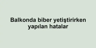 Balkonda biber yetiştirirken yapılan hatalar