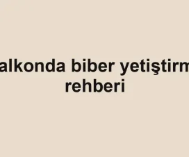 Balkonda biber yetiştirme rehberi