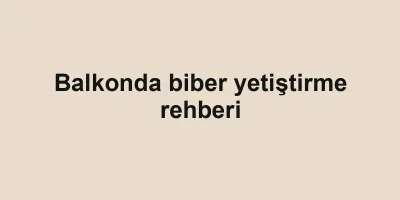 Balkonda biber yetiştirme rehberi