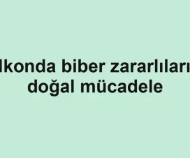 Balkonda biber zararlılarıyla doğal mücadele