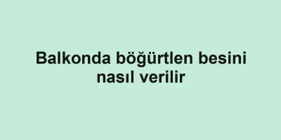 Balkonda böğürtlen besini nasıl verilir