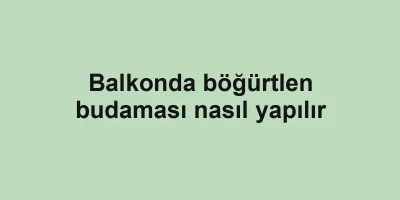 Balkonda böğürtlen budaması nasıl yapılır