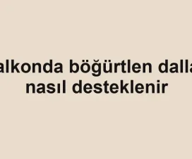 Balkonda böğürtlen dalları nasıl desteklenir