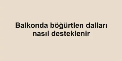 Balkonda böğürtlen dalları nasıl desteklenir