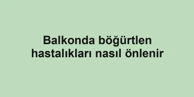 Balkonda böğürtlen hastalıkları nasıl önlenir