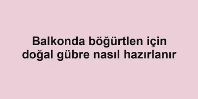 Balkonda böğürtlen için doğal gübre nasıl hazırlanır