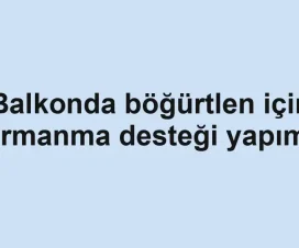 Balkonda böğürtlen için tırmanma desteği yapımı