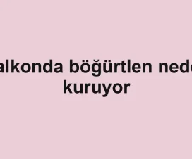 Balkonda böğürtlen neden kuruyor