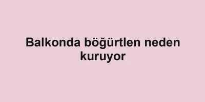 Balkonda böğürtlen neden kuruyor