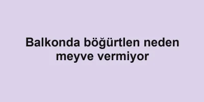 Balkonda böğürtlen neden meyve vermiyor