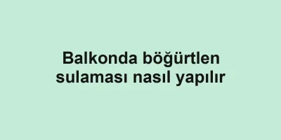 Balkonda böğürtlen sulaması nasıl yapılır