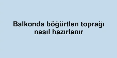 Balkonda böğürtlen toprağı nasıl hazırlanır