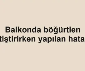 Balkonda böğürtlen yetiştirirken yapılan hatalar