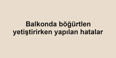 Balkonda böğürtlen yetiştirirken yapılan hatalar
