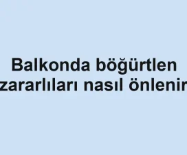 Balkonda böğürtlen zararlıları nasıl önlenir