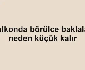 Balkonda börülce baklaları neden küçük kalır