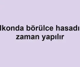 Balkonda börülce hasadı ne zaman yapılır