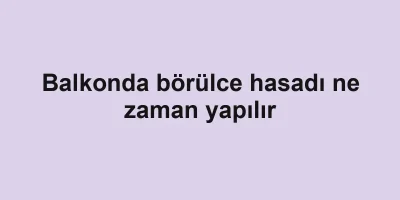 Balkonda börülce hasadı ne zaman yapılır