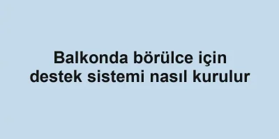 Balkonda börülce için destek sistemi nasıl kurulur