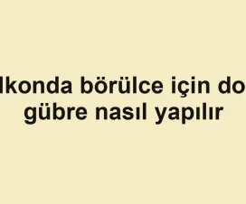 Balkonda börülce için doğal gübre nasıl yapılır