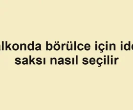 Balkonda börülce için ideal saksı nasıl seçilir