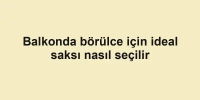 Balkonda börülce için ideal saksı nasıl seçilir