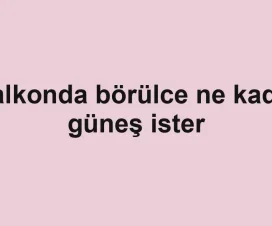 Balkonda börülce ne kadar güneş ister