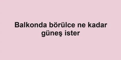 Balkonda börülce ne kadar güneş ister