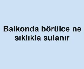 Balkonda börülce ne sıklıkla sulanır